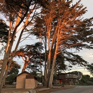 Meet your Posher, Mia